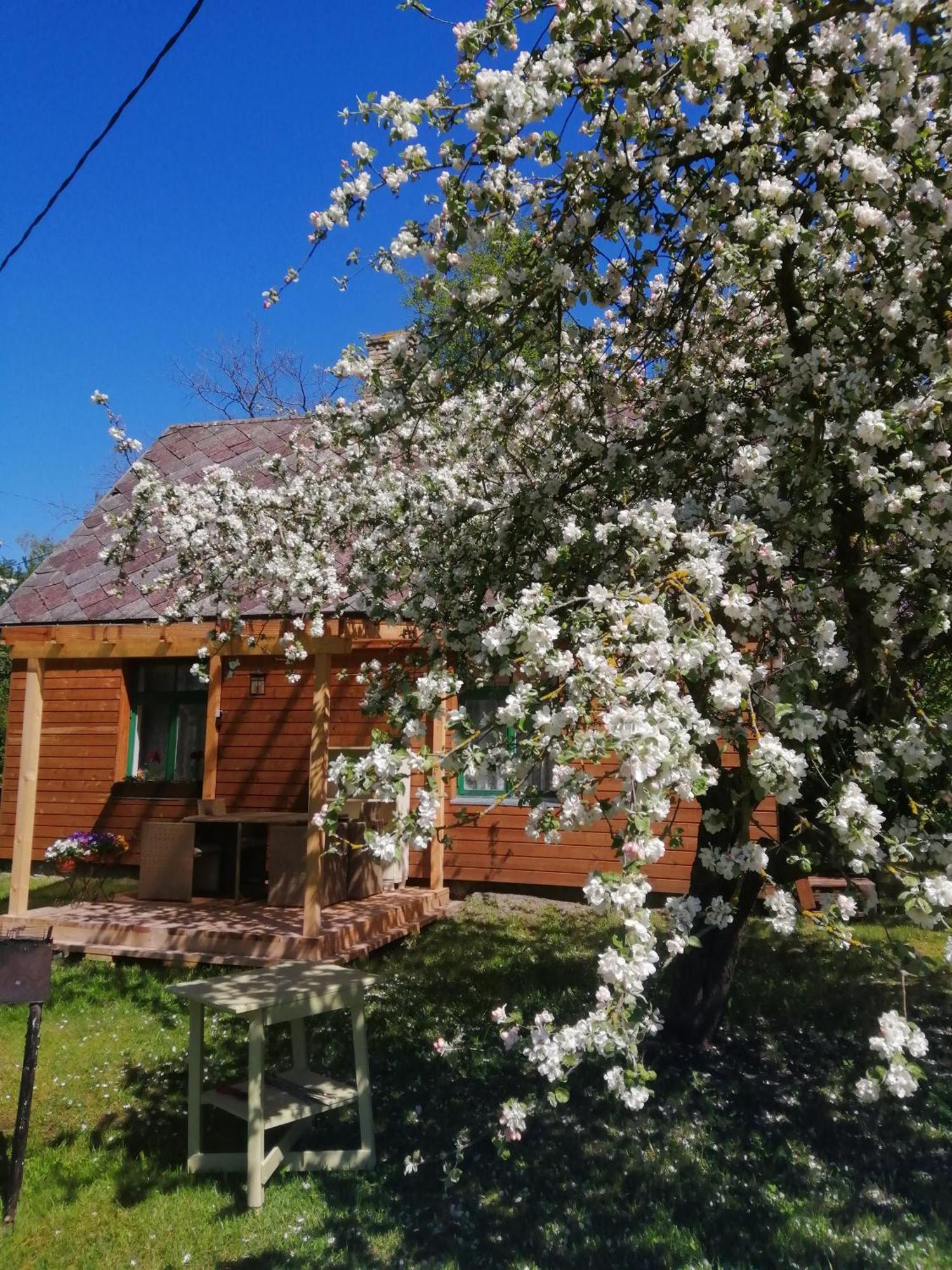 Searooms Lapmežciems Habitación foto
