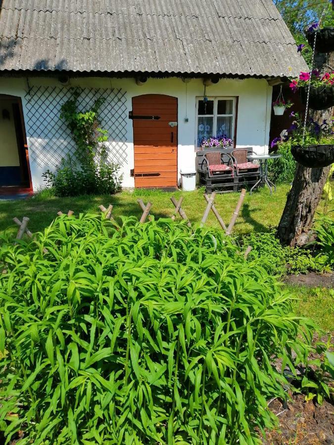 Searooms Lapmežciems Exterior foto